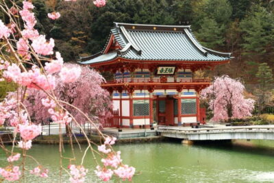 Osaka/Kyoto: Katsuoji, Kinkakuji, Arashiyama 1-Day Bus Tour - Katsuo-ji and the Daruma Eye Wish for Victory Luck