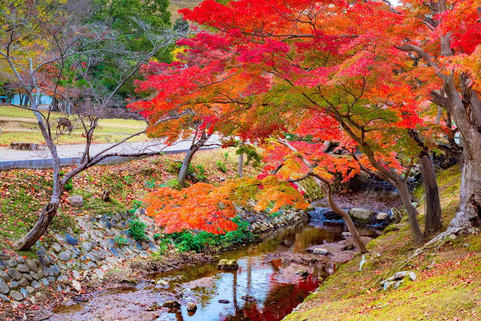 Osaka/Kyoto: Katsuoji, Kinkakuji, Arashiyama 1-Day Bus Tour - Nonomiya Shrine: Love and Health Wishes in a Small Sacred Moment
