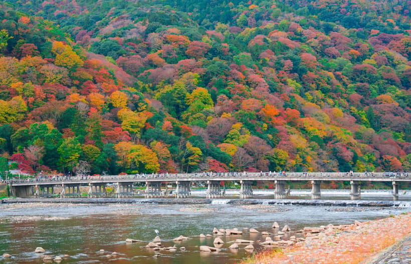 Osaka/Kyoto: Katsuoji, Kinkakuji, Arashiyama 1-Day Bus Tour - Kinkaku-ji: World Heritage Gold With Quiet Time to Look Closely