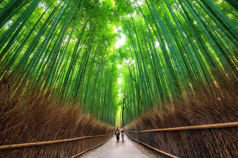 Osaka/Kyoto: Katsuoji, Kinkakuji, Arashiyama 1-Day Bus Tour - Logistics That Matter: Shoes, Photos, and the No-Eating-on-Bus Rule