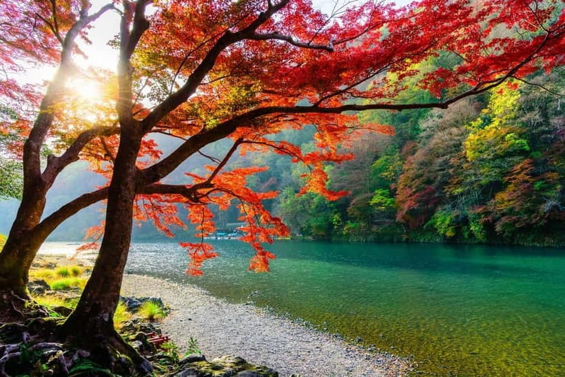 Osaka/Kyoto: Katsuoji, Kinkakuji, Arashiyama 1-Day Bus Tour - Should You Book This Katsuo-ji to Kinkaku-ji Highlights Tour?