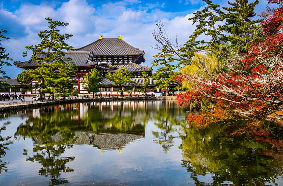 Osaka/Kyoto: Private Kyoto and Nara Day Trip - Food, entry fees, and how to not get caught off guard