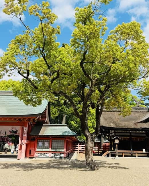 Osaka & Nara: Private Tour with English speaking guide - Shitennoji and the Osaka temple reset