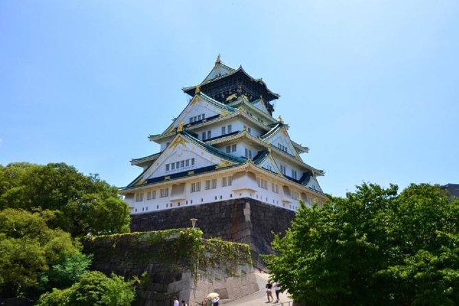Osaka Private Tour by Public Transportation from Kyoto - Dotonbori District: canal views, neon energy, and photo lines