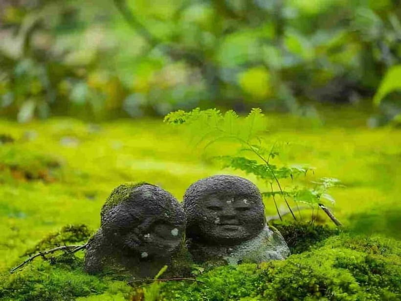 Osaka to Kyoto: Arashiyama Bamboo Grove Small Group Tour - Key things to know before you go