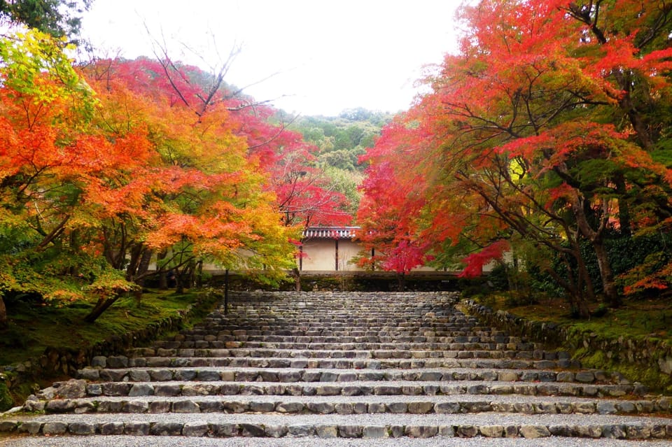Osaka to Kyoto: Arashiyama Bamboo Grove Small Group Tour - Budget reality: $69 plus entrances, plus meals