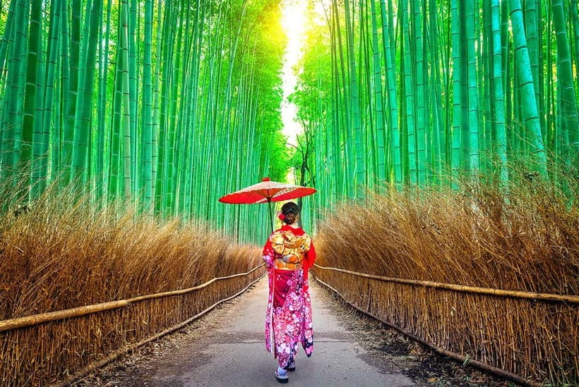 Osaka to Kyoto: Arashiyama Bamboo Grove Small Group Tour - Sanzen-in Temple in Ohara: moss gardens, 1,200 years, and good photo timing