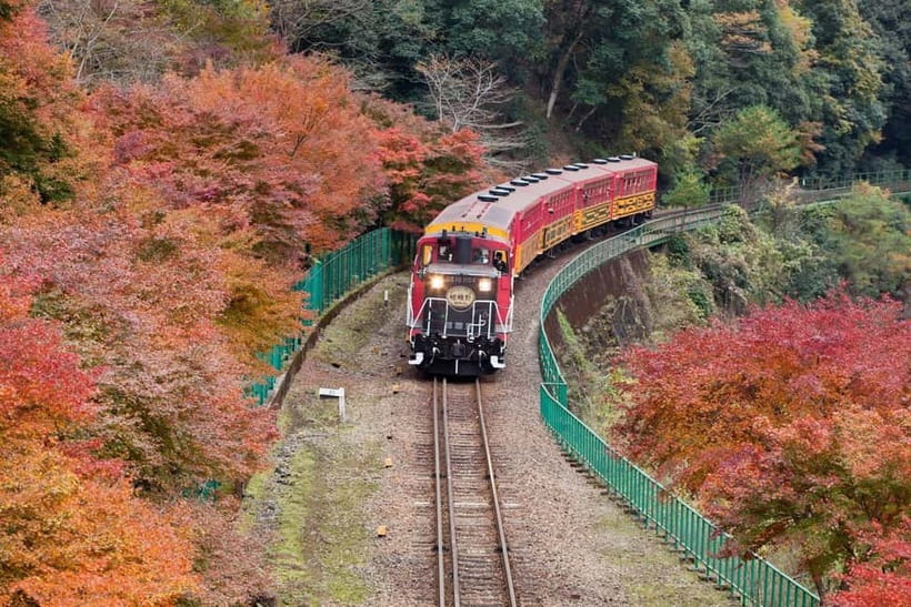 Osaka to Kyoto: Arashiyama Bamboo Grove Small Group Tour - Arashiyama Bamboo Grove: sun-dappled rays and timed-free wandering