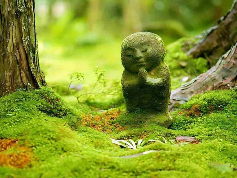 Osaka to Kyoto: Arashiyama Bamboo Grove Small Group Tour - Pace, timing, and what to watch for (because 10 hours is fast)