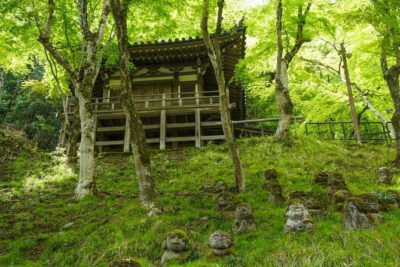 Otagi Nenbutsu Temple and Arashiyama Bamboo Forest Tour - Stop 1: Otagi Nenbutsu-ji and its 1,200 statue photo walk