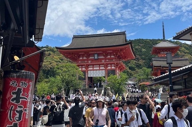 Private Custom Tour of Kiyomizu & Yasaka—by Young Local Guides - Who should book this Kiyomizu and Yasaka private tour