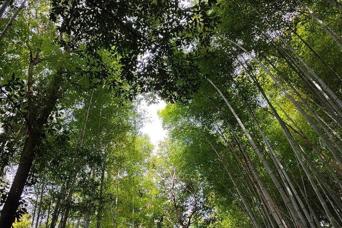 Private Customized Walking Tour in Kyoto - Stop 1: Kinkakuji (Golden Pavilion) and what to look for
