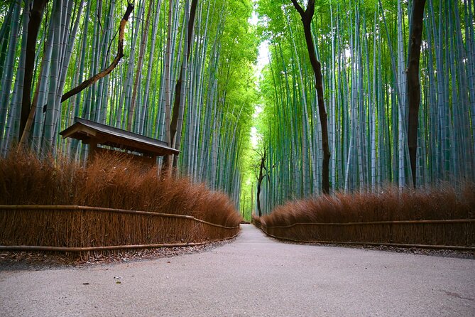 Private Day Tour - Kyoto Arashiyama & Bamboo Forest Perfect Tour! - Key highlights you’ll care about