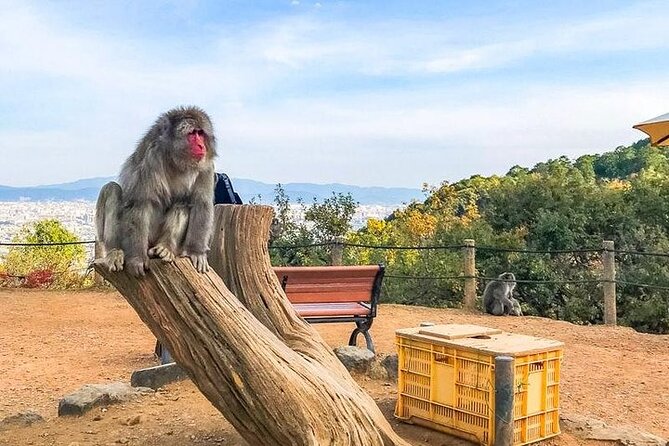 Private Day Tour - Kyoto Arashiyama & Bamboo Forest Perfect Tour! - Nonomiya Shrine and the bamboo forest trail (your “Kyoto senses” start)