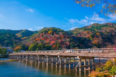 Private Day Tour - Kyoto Arashiyama & Bamboo Forest Perfect Tour! - Private tour value: how a guide helps with crowds
