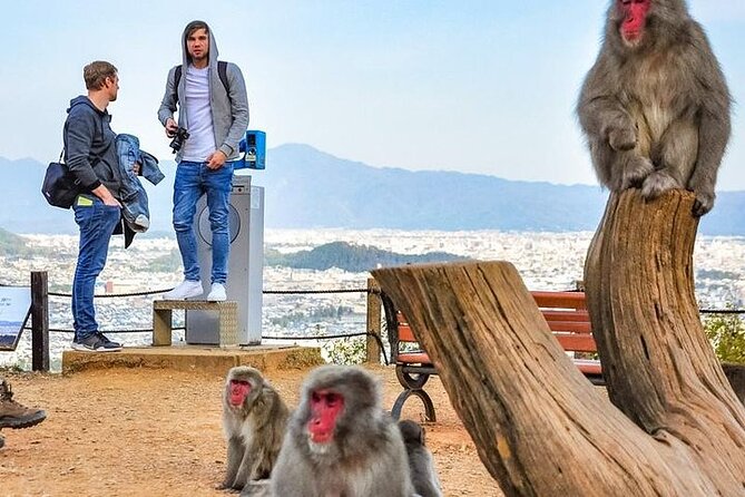Private Day Tour - Kyoto Arashiyama & Bamboo Forest Perfect Tour! - Arashiyama shopping street: snacks, souvenirs, and easy wandering time
