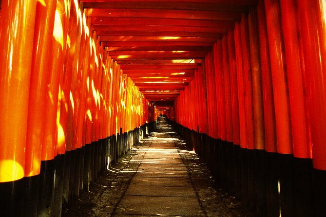 Private eBike Tour Exploring Fushimi with Torii Red Gate Ride - Key highlights you’ll feel right away