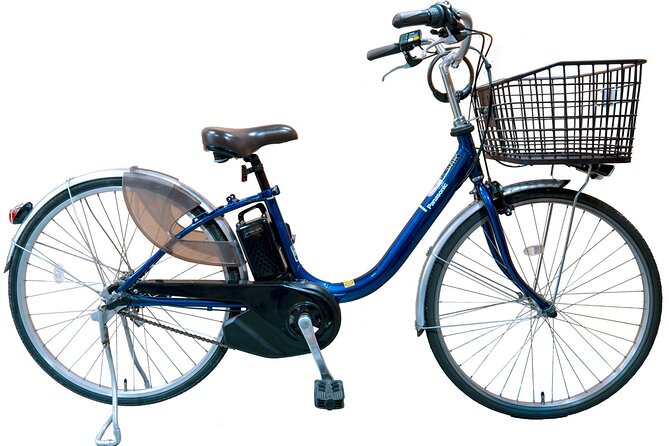 Private eBike Tour Exploring Fushimi with Torii Red Gate Ride - Fushimi Inari-taisha: torii gate paths with an English guide