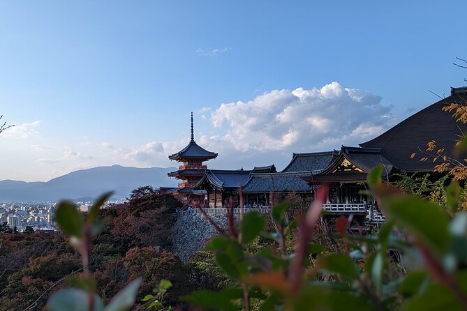 Private Guided Historical Sightseeing Tour in Kyoto - The Private Kyoto loop: what you’re really buying