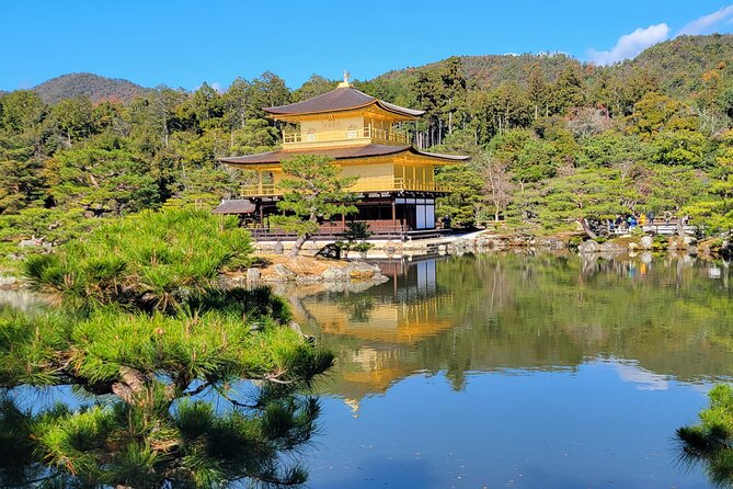 Private Guided Historical Sightseeing Tour in Kyoto - Pontocho Alley for 1 hour: the slower Kyoto walk