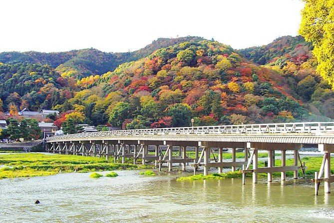 Private Kyoto Arashiyama Custom Half-Day Tour by Chartered Vehicle - How customization works in a tight 4-hour window