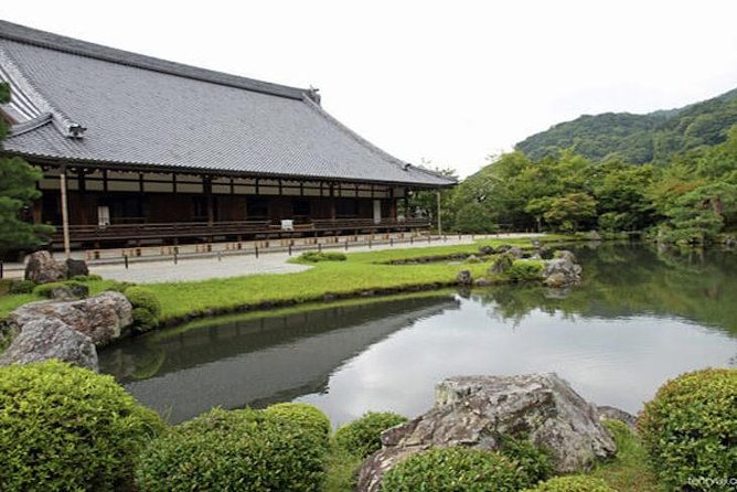 Private Kyoto Arashiyama Custom Half-Day Tour by Chartered Vehicle - Stop 1: Arashiyama and the Sagano Bamboo Groves walk