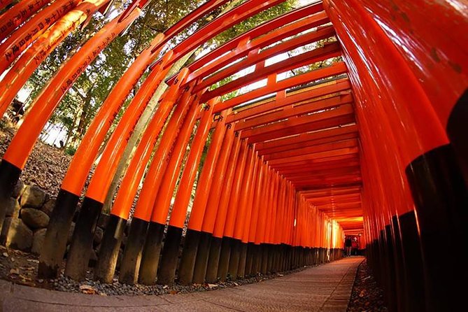 Private Kyoto Custom One Day Tour by Chartered Vehicle - Picking your guide style: guided stops with Rumiko, Kiku, Kikuko, or Mazda