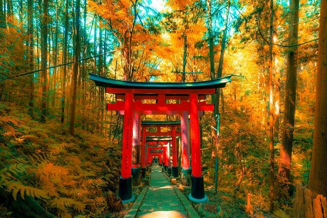 Private Kyoto Customizable Day Tour with Guide and Vehicle - How a private guide makes Kyoto feel easier