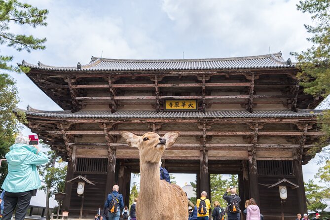 Private Kyoto Tour by Car with Optional Nara or Osaka Add-Ons - Private car Kyoto: the real value is less stress