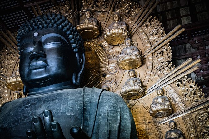 Private Kyoto Tour by Car with Optional Nara or Osaka Add-Ons - Nishiki Market: your one-hour window for snacks and browsing