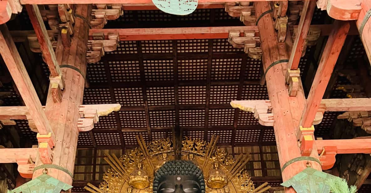 Private Nara Tour from Osaka – Meet at Your Hotel - The guide makes the day: Masa’s style and why it shows