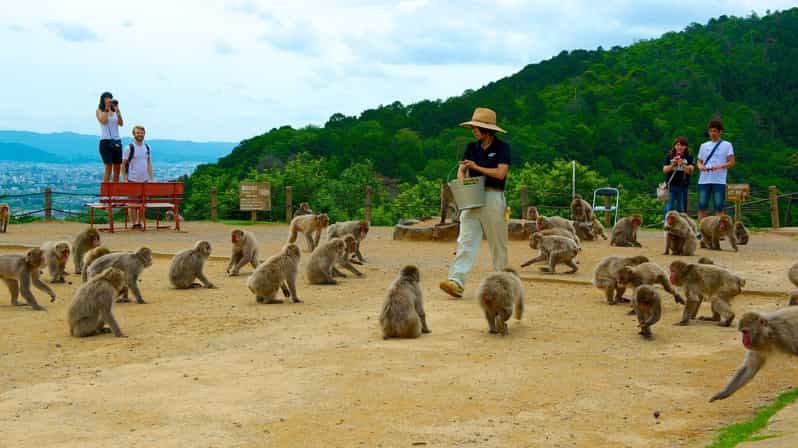 Private Tour to Monkey Park and Arashiyama Highlights - The full flow in 3 hours: where the time goes