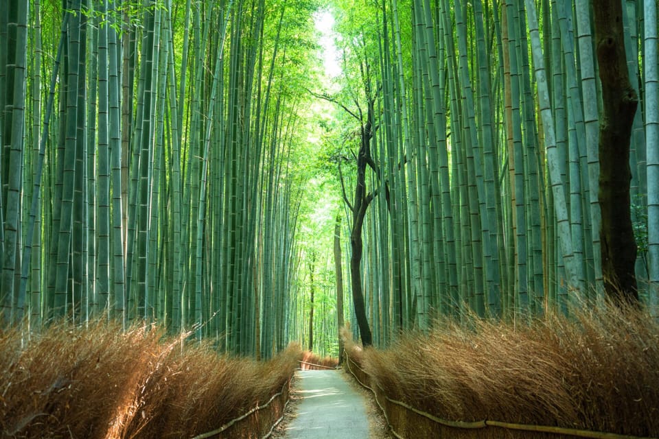 Private Tour to Monkey Park and Arashiyama Highlights - Togetsukyo Bridge and the Oi River: views plus a slow boat pace