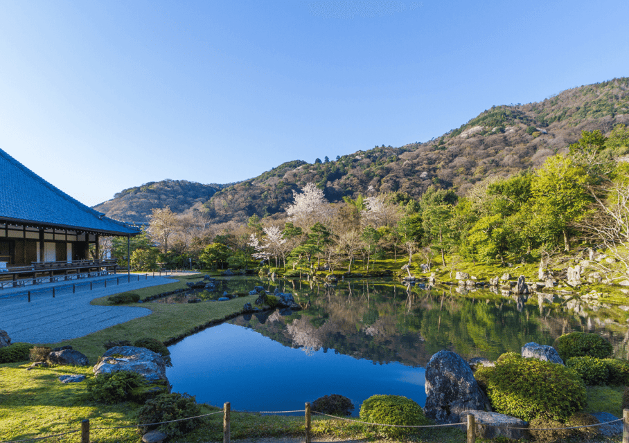 Private Tour to Monkey Park and Arashiyama Highlights - What to bring (and what not to bring) for a smooth Arashiyama day