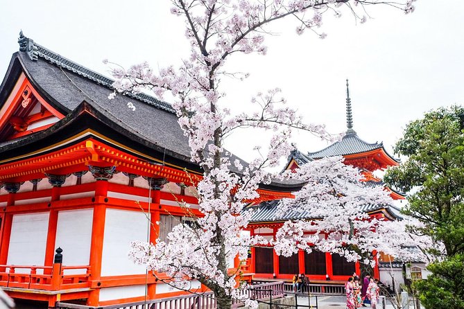 Private & Unique Kyoto Cherry Blossom "Sakura" Experience - Key highlights at a glance
