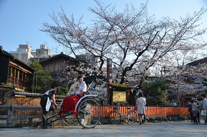 Private & Unique Kyoto Cherry Blossom "Sakura" Experience - Maruyama Park hanami: where the day actually feels calm