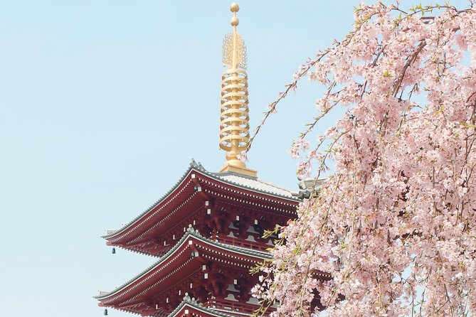 Private & Unique Kyoto Cherry Blossom "Sakura" Experience - Your hanami picnic: what’s included and why it feels right