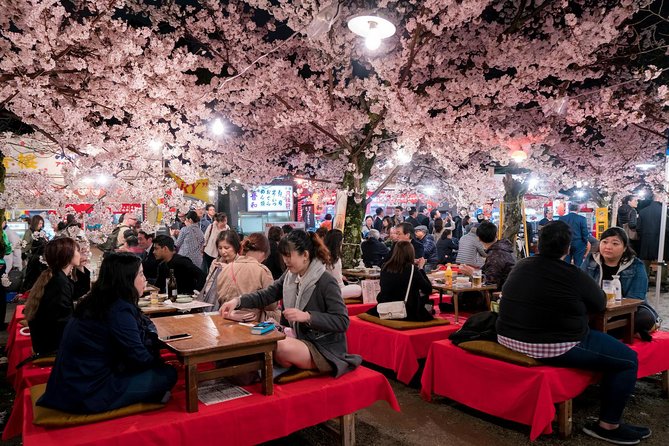 Private & Unique Kyoto Cherry Blossom "Sakura" Experience - “Off the tourist trail” in real life: what your host actually does