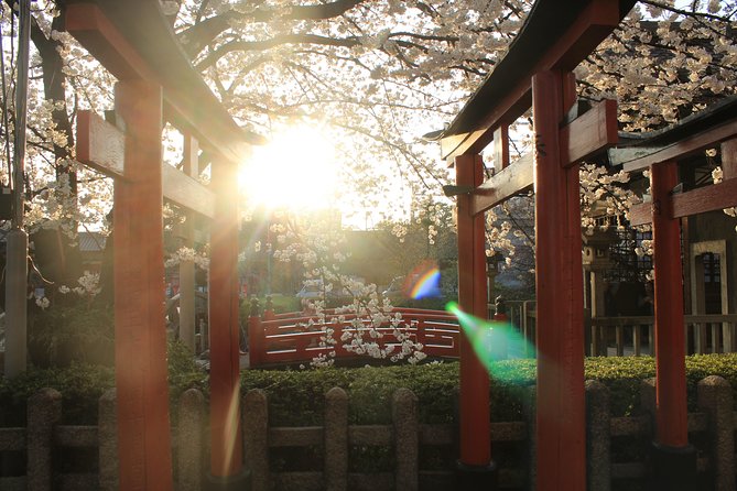 Private & Unique Kyoto Cherry Blossom "Sakura" Experience - Pricing and value: what $290.79 buys in Kyoto