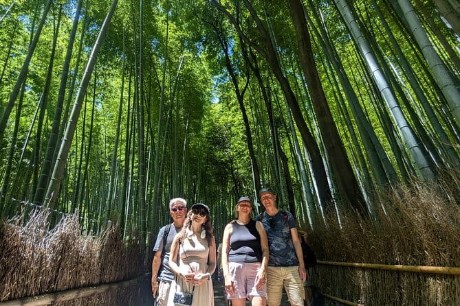 Private Walking Tour in the Arashiyama Bamboo Forest with Guide - Key highlights you’ll actually notice