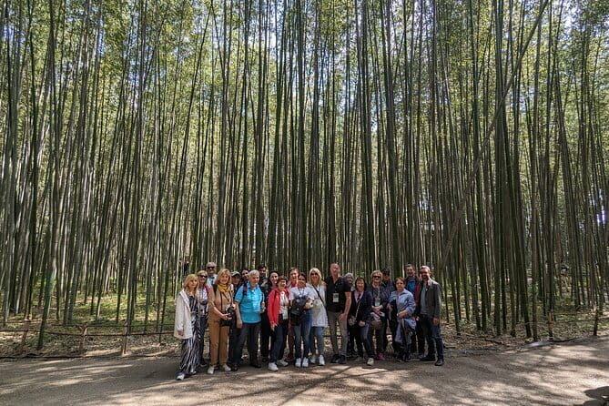 Private Walking Tour in the Arashiyama Bamboo Forest with Guide - Iwatayama Monkey Park hike: the payoff view, with a real leg check