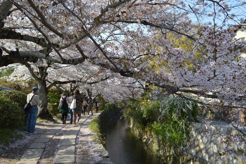 Sacred Pathways: Discover the Philosopher's Path of Kyoto - Key moments that make Sacred Pathways worth it