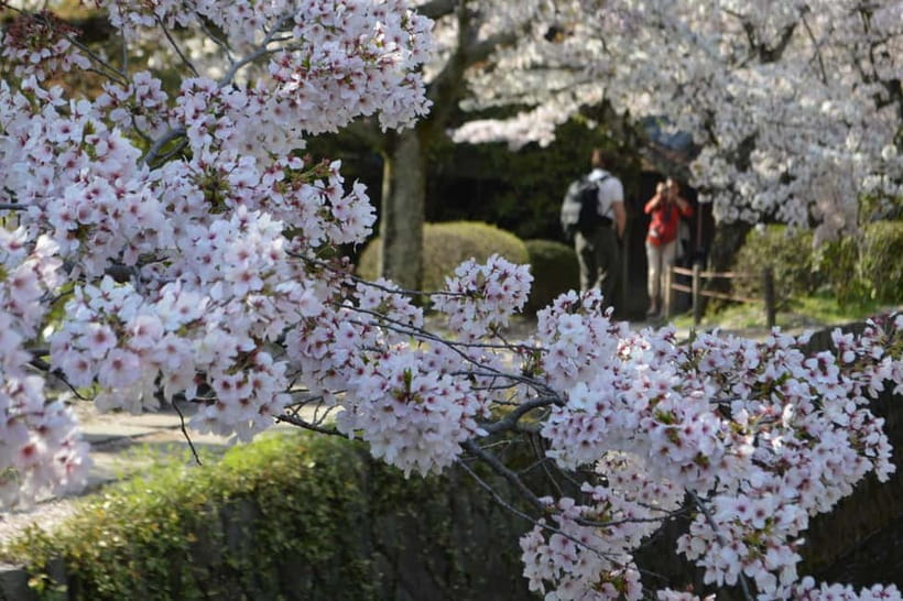 Sacred Pathways: Discover the Philosopher's Path of Kyoto - Ginkakuji Temple: the Silver Pavilion garden and what to look for