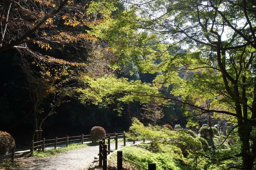 Sacred Pathways: Discover the Philosopher's Path of Kyoto - Who should book Sacred Pathways in Kyoto (and who should skip it)