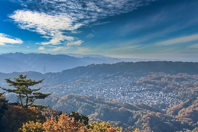 Sacred Peak and Scenic View Hieizan Enryaku ji and Hiyoshi Shrine - Price and value: why $182.74 can make sense here