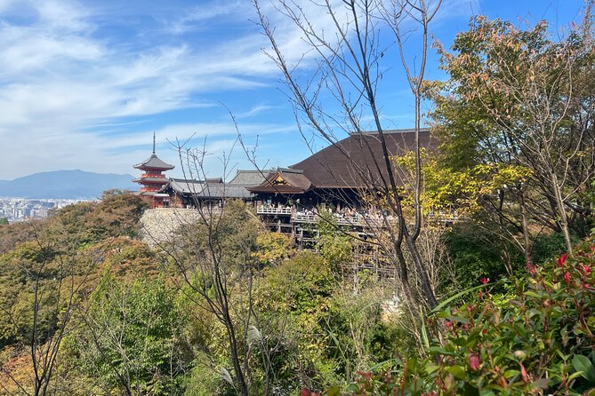 Sacred Treasure Fushimi Inari and Kiyomizu Dera Tour - Stop 2: Kiyomizu-dera’s pure-water focus and the classic stage views