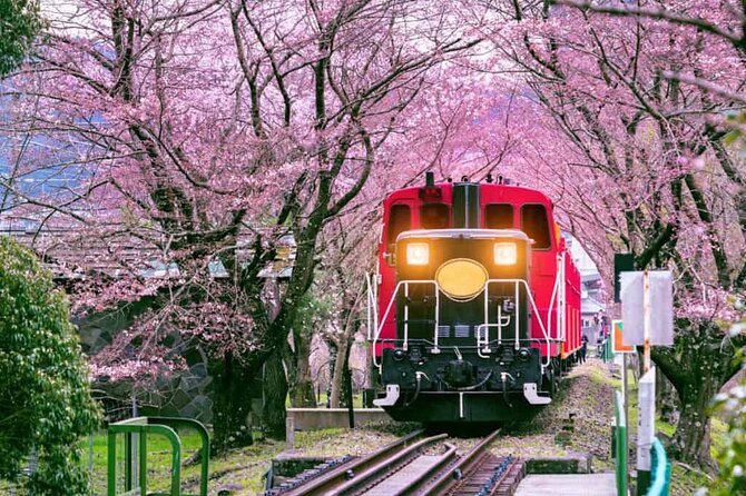 Sagano Romantic Train Ticket - A 25-Minute Season Show Through Kyoto’s Hozugawa River Valley