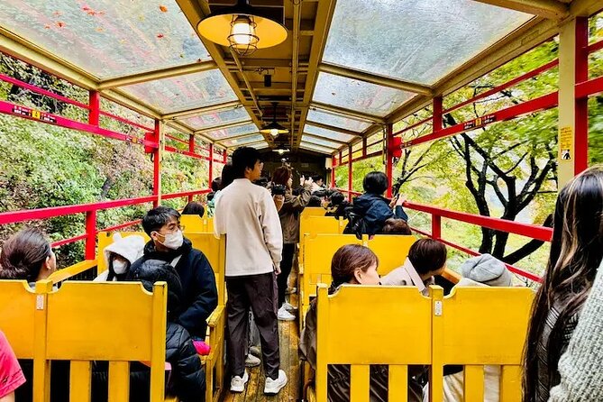 Sagano Romantic Train Ticket - The Special Car Option: Rich Car (Car No. 5)