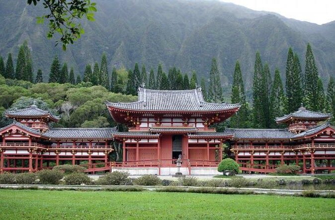 Scenic Green Tea Fields of Hidden Kyoto & Local Tea Exp (Private) - Ishitera Tea Plantation: The Sky-High Green Fields Moment