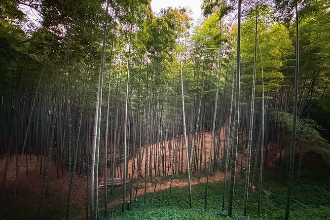 Scenic Green Tea Fields of Hidden Kyoto & Local Tea Exp (Private) - Ujitawara-cho: Where Green Tea and Matcha Were Invented